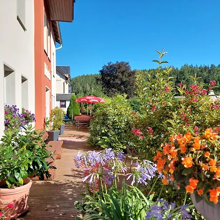 Villa Helvetia-3