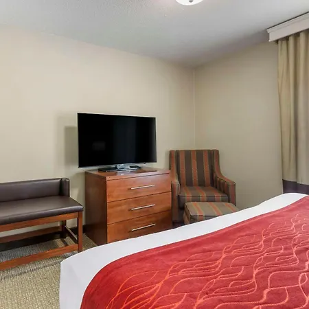 Comfort Inn & Suites Rapid City South - Mt Rushmore Gateway-3