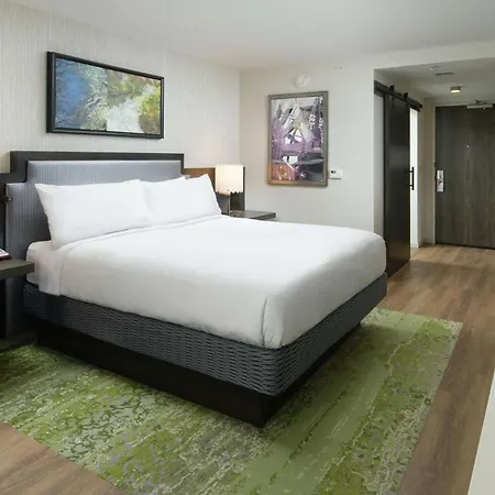 Hilton Garden Inn Memphis Downtown Beale Street-3