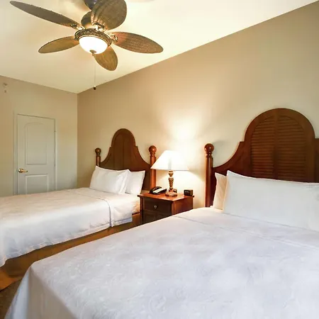 Homewood Suites By Hilton Charleston Airport/Convention Center-2
