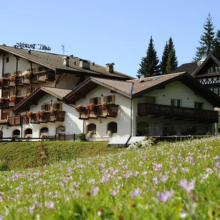 Alpine Touring Hotel-Petfriendly-3