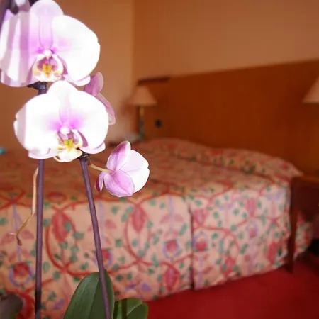 Hôtel Aletti Palace-2