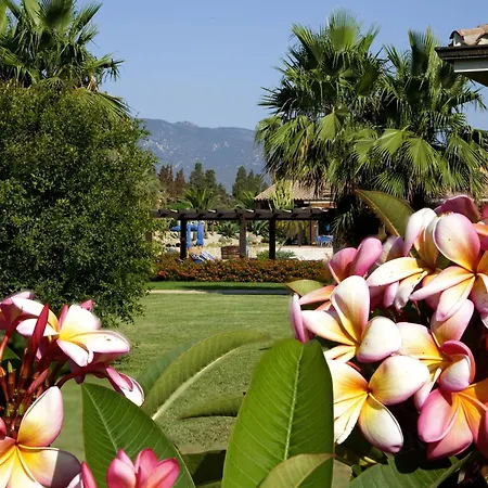 Lantana Resort Hotel&Apartments-3