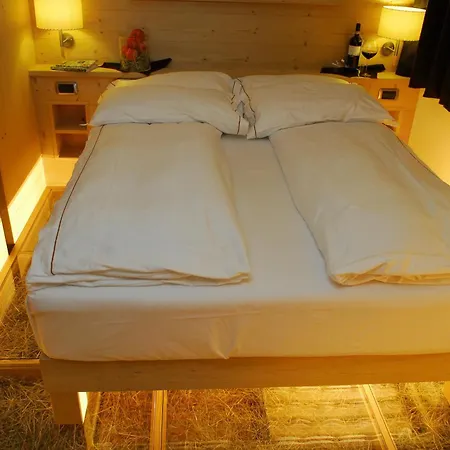 Alpen Hotel Chalet-2
