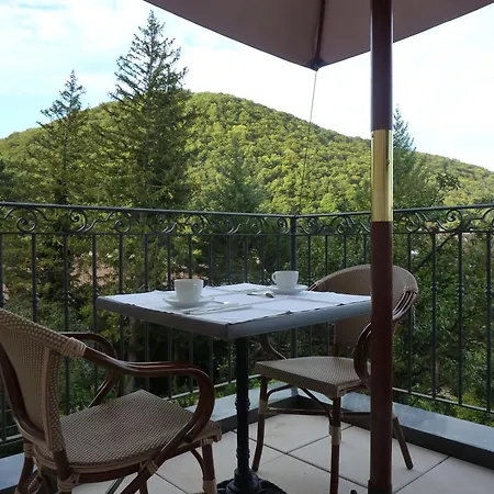 Hôtel Restaurant Spa Le Sauvage-3