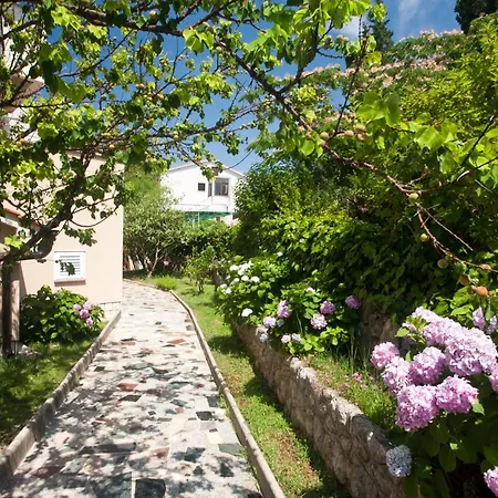 Bed & Breakfast Mario-2