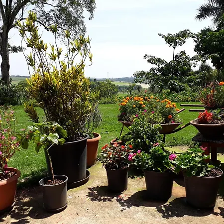Parque Paraíso das Flores-3