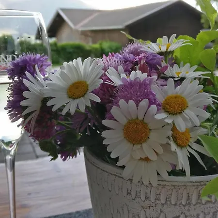 Biogasthaus Plonerhof "Sweet Dolomites View"-3
