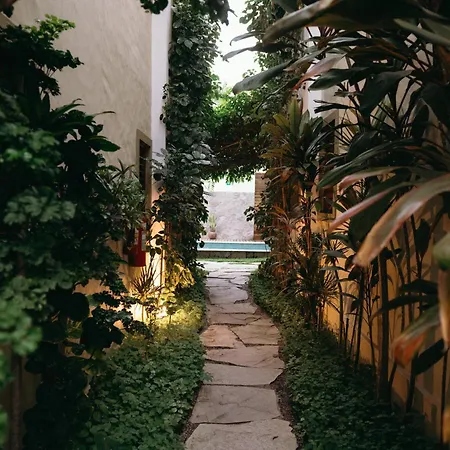 Flor da Mata-3
