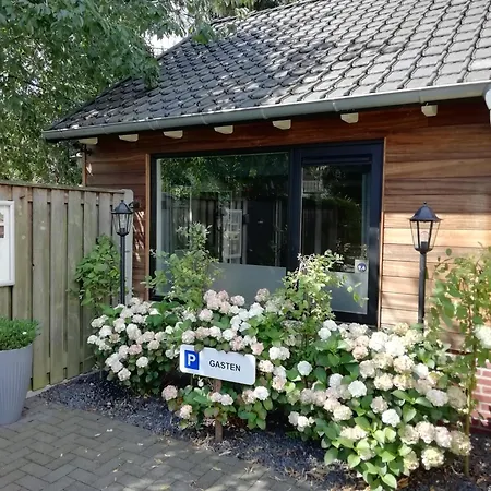 B & B Chawe-3