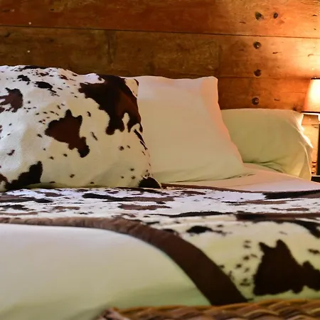 Prehistoric Lodge - Adult Only-2