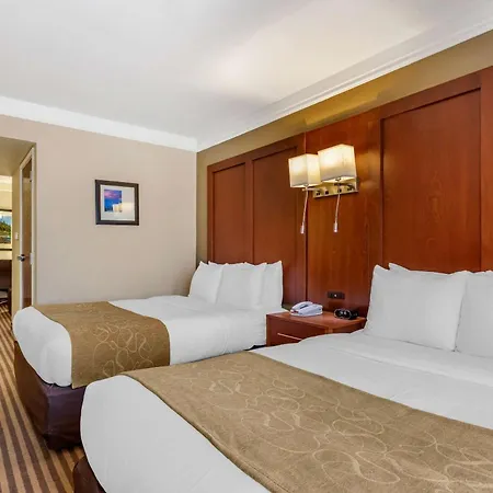 Comfort Suites Visalia - Convention Center-3