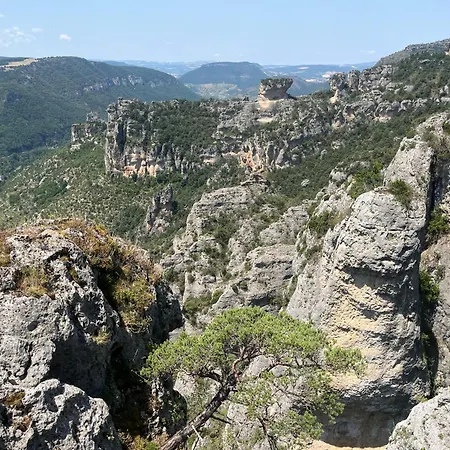 Domaine Aigoual Cevennes-2