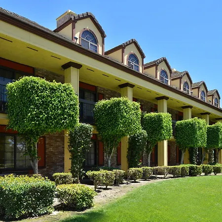 Best Western Plus Raffles Inn & Suites-2