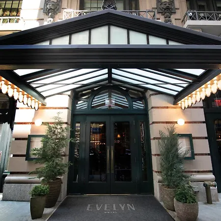 The Evelyn Nomad-3