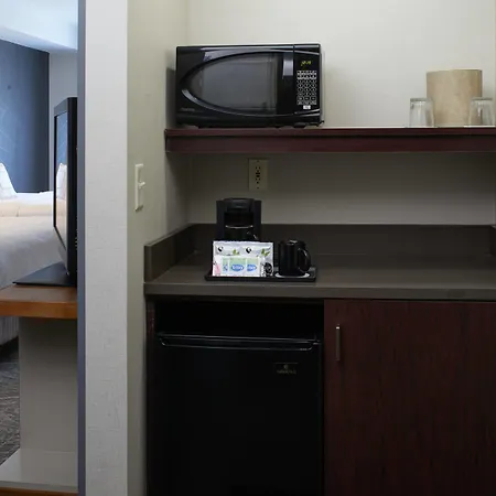 Springhill Suites By Marriott Frankenmuth-2