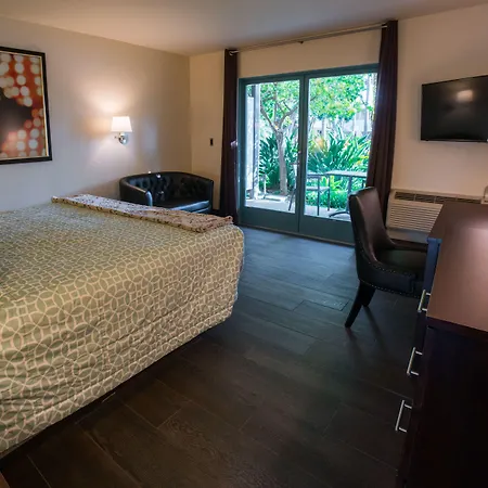 Lemon Tree Inn-3