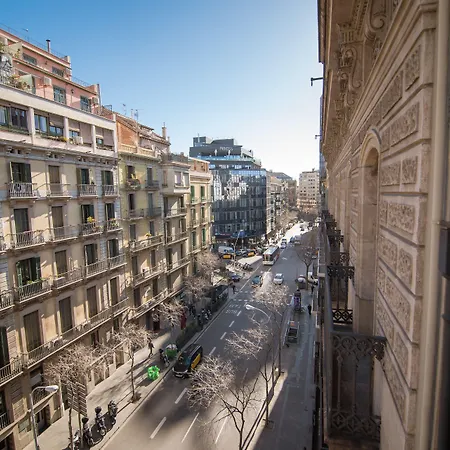 Icon Bcn-3
