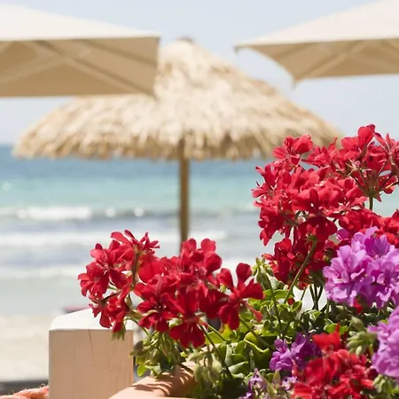 Conchiglia Azzurra Hotel&Beach-2