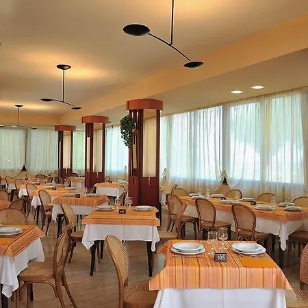 Hotel Ausonia-2