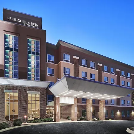 Springhill Suites By Marriott Roanoke-3