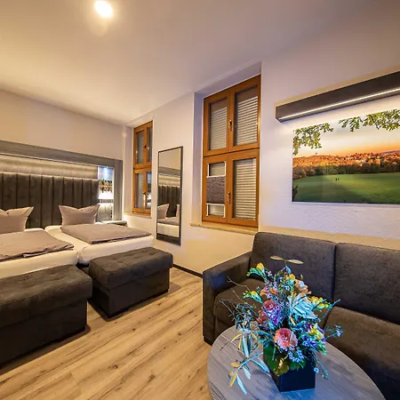 Parkhotel Plauen-3