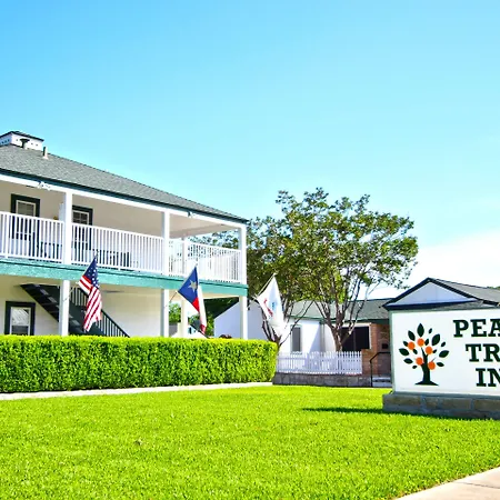 Peach Tree Inn & Suites-3