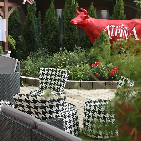 Hôtel Alpina-2