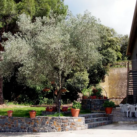 Hostal Montserrat-3