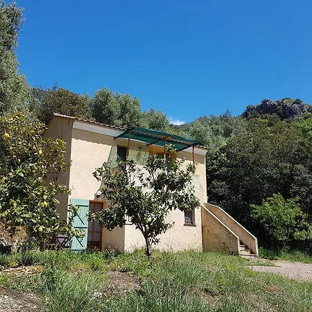 A Casa Di L'Alivu-3