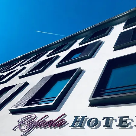 Rafaela Hotel Heidelberg-2