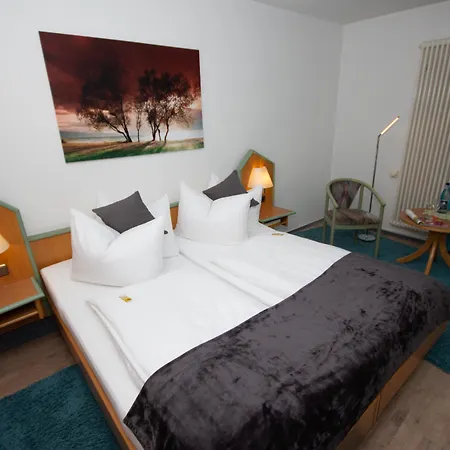 Paulin Hotel Trier-2