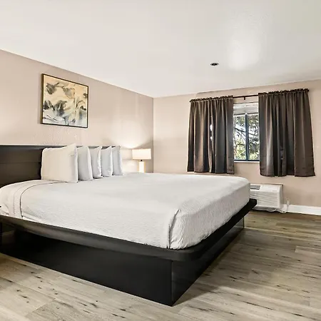 Best Western Plus Orchid Hotel & Suites-3