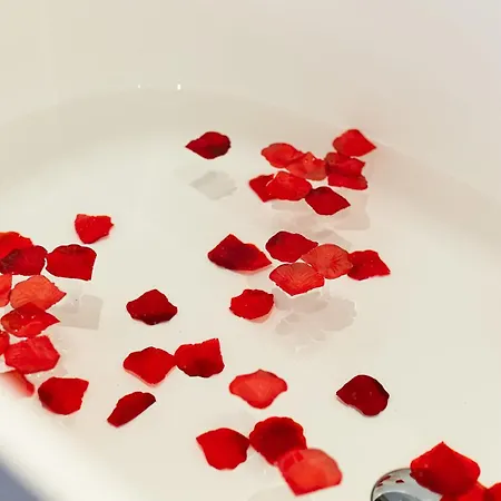 Boutique Hotel & Restaurant Frenchie-2