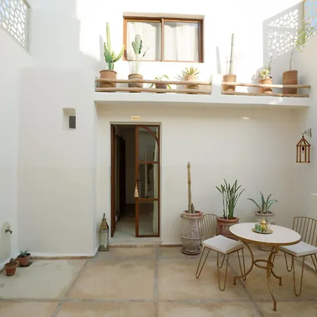 Riad Rahal-3