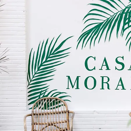Casa Morada-3
