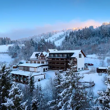 Wald Hotel Willingen-2
