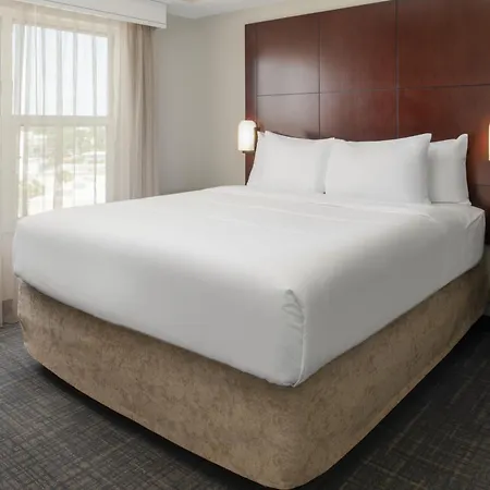 Residence Inn By Marriot Clearwater Downtown-2
