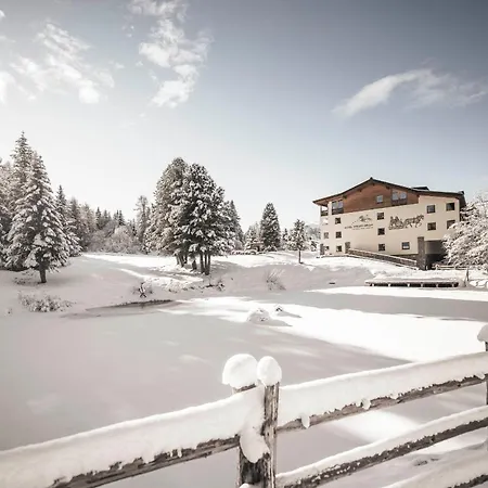 Hotel Steger-Dellai-3