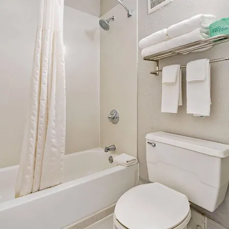 Beachfront Palms Resort Galveston, An Ascend Collection Hotel-2