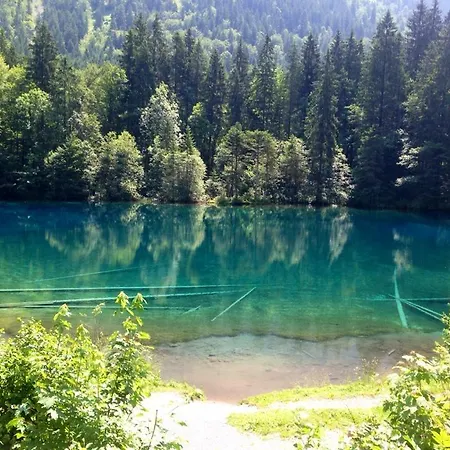 Hotel Garni Regina-2