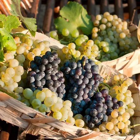 Albergo 'La Vigna'-3