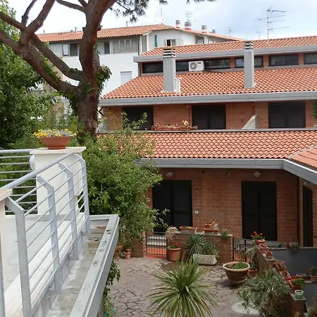 Cav Brunella-2