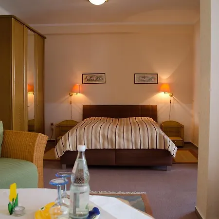 Hotel Helvetia Garni-2