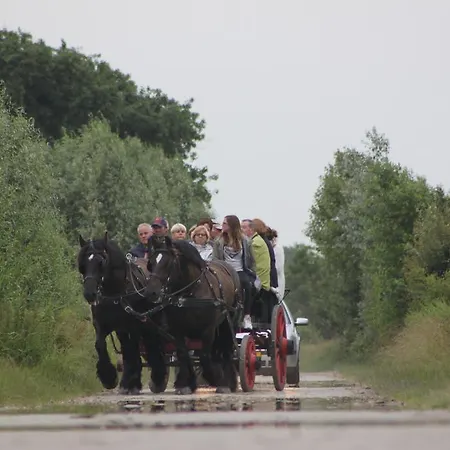 Villa Hoog Duin-2