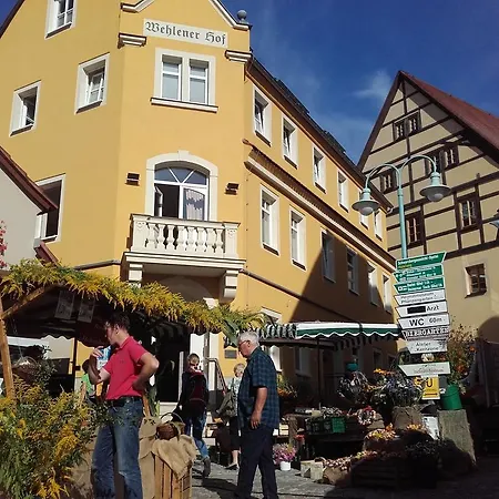 Hotel Wehlener Hof-2