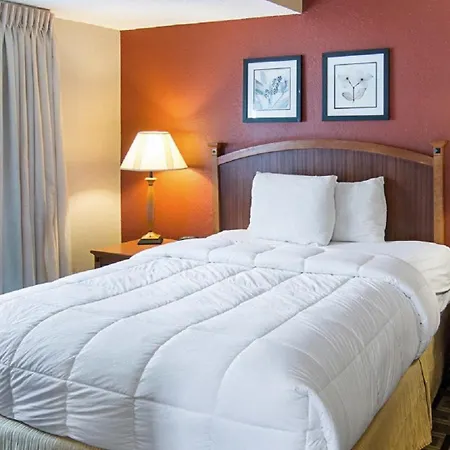 Extended Studio Suites Hotel- Bossier City-3