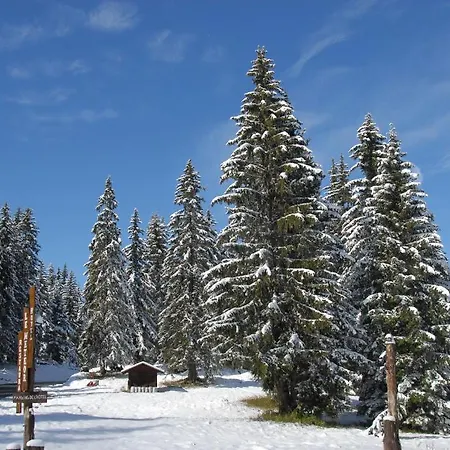 Hôtel Chalet Le Caribou-3