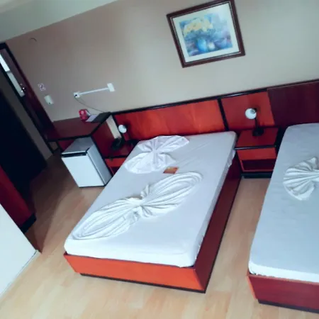 Geneviee Palace Hotel-3