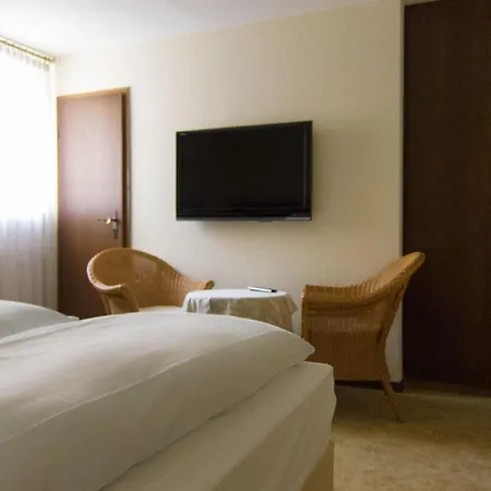 Hotel Lindenhof-3